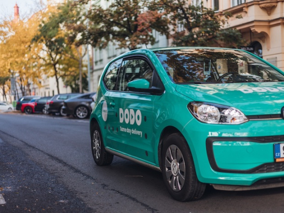 /media/qdoppfxd/dodo