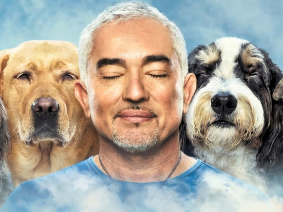 Cesar Millan_Cesar Millan