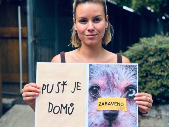 Patricie Pagáčová pro Dogpoint