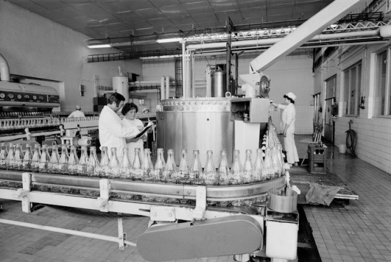 /media/16842/fruta-brno