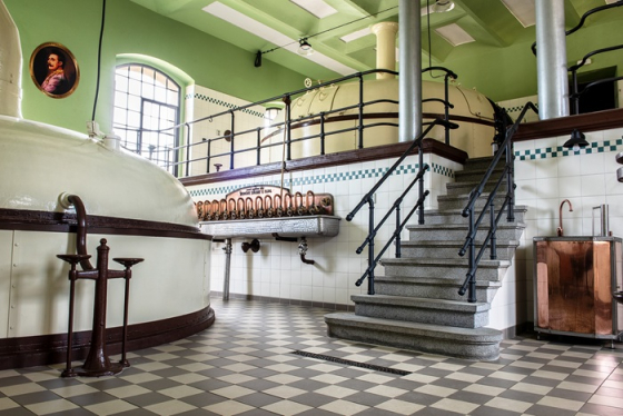 /media/le3dyckq/ferdinand_2