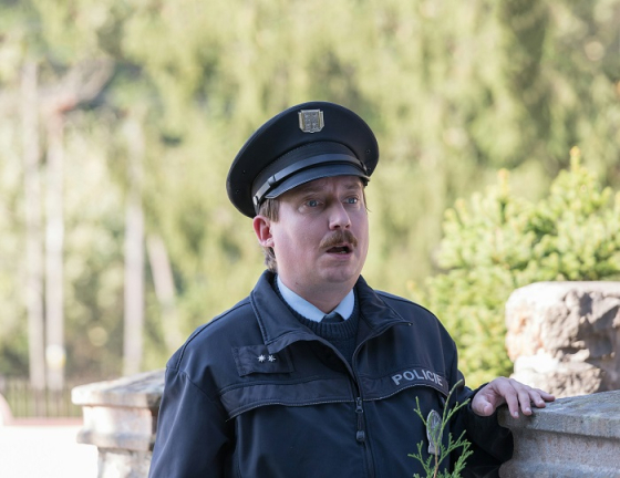 /media/6510/strazmistr-topinka