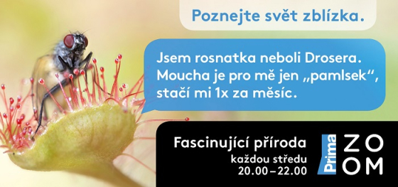 /media/10669/zoom_kampan-2019_motiv_preview5