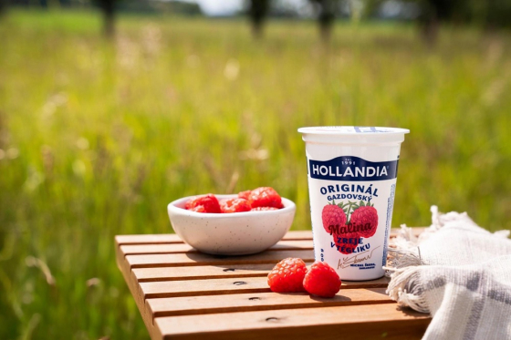 Hollandia image foto (2)