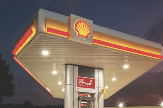 /media/drpo4zjo/shell