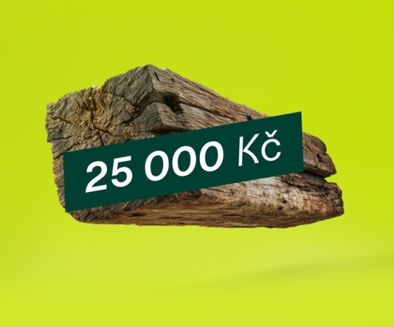 /media/dfhpeqrz/tram