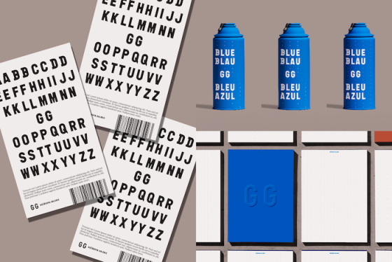 /media/23540/gocarovagalerie_4