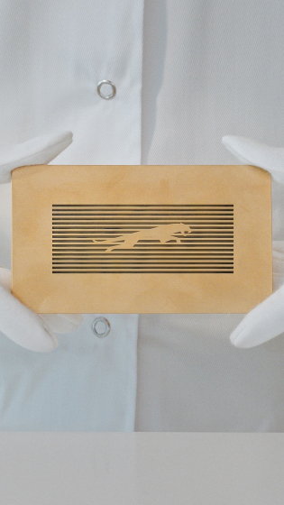 /media/tnofpeal/jaguar_makers_mark_leaper_portrait_191124