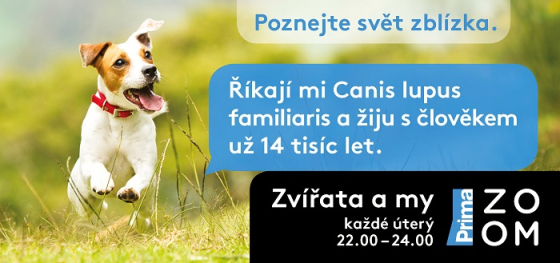 /media/10667/zoom_kampan-2019_motiv_preview