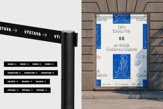 /media/23542/gocarovagalerie_6