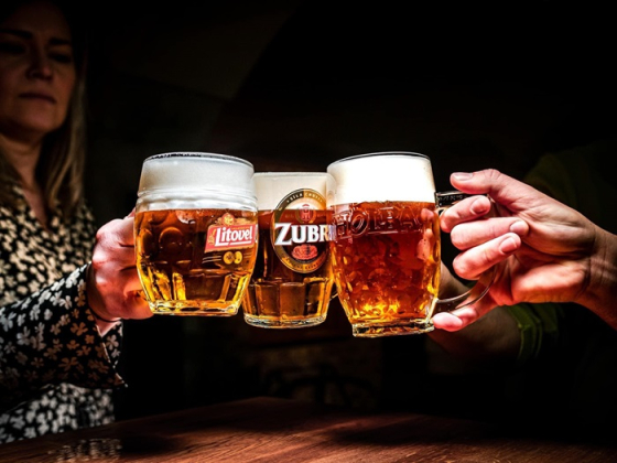 /media/26681/zubr_litovel_holba_3-čepovana-piva