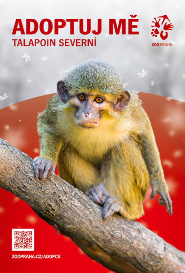 /media/25636/adopční-kampaň-zoo-praha