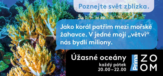 /media/10671/zoom_kampan-2019_motiv_preview9