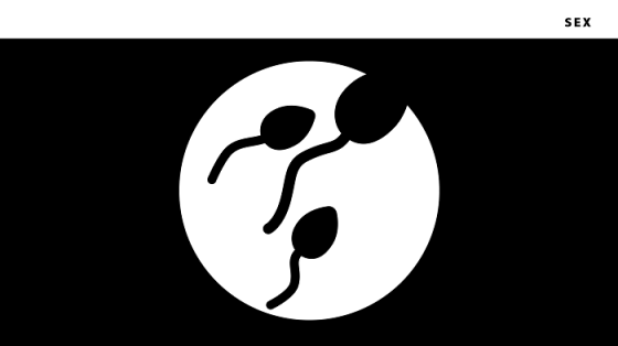 /media/11217/ikona-sex