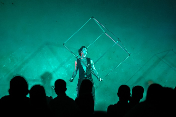 /media/18684/flema21_gala_shashik