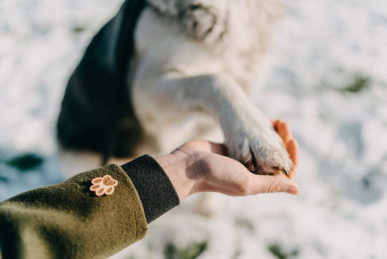 /media/18895/bewooden_sperk_pes