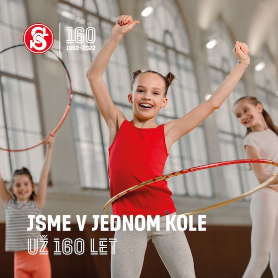 /media/20177/sokol_2