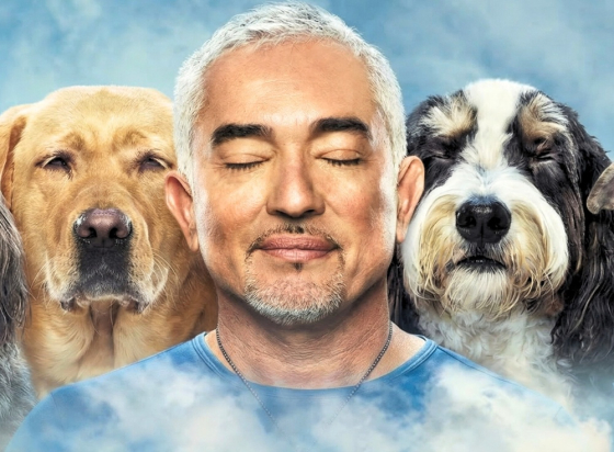 Cesar Millan_Cesar Millan