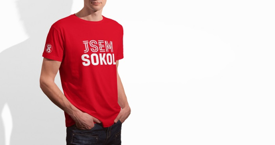 /media/10099/sokol_dynamo_tricko