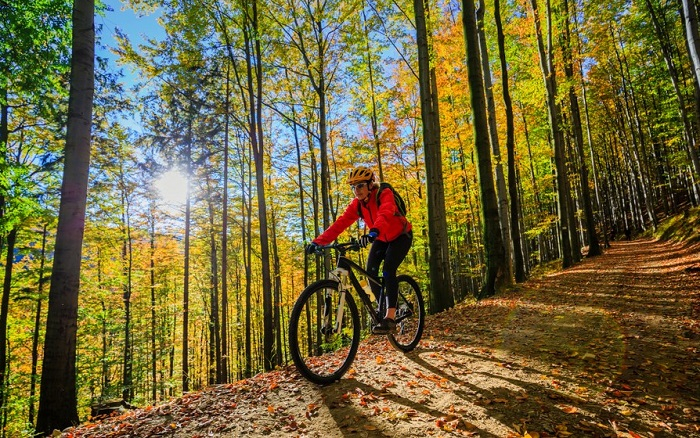 /media/20422/kolo_shutterstock