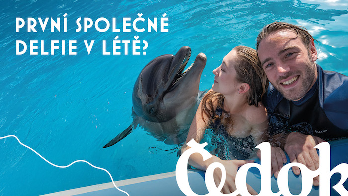 /media/jf0pcwbx/cedok_2024_vizual