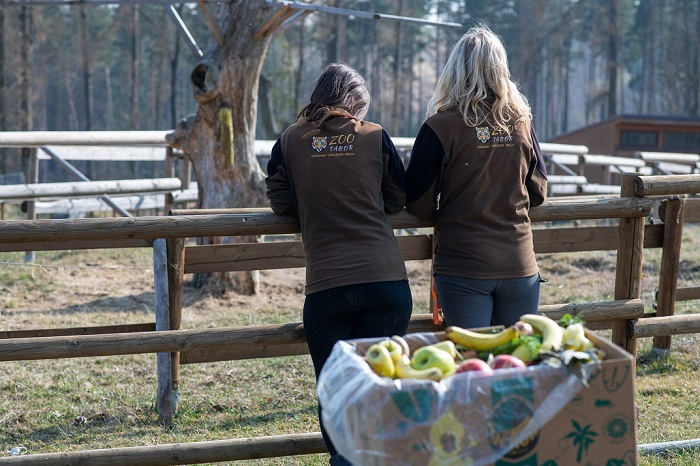 /media/20623/penny_zoo_tábor