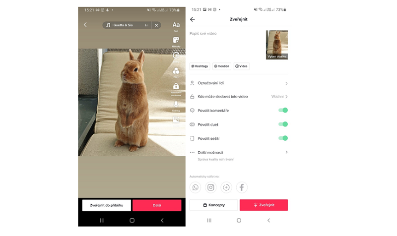 /media/21254/tiktok2