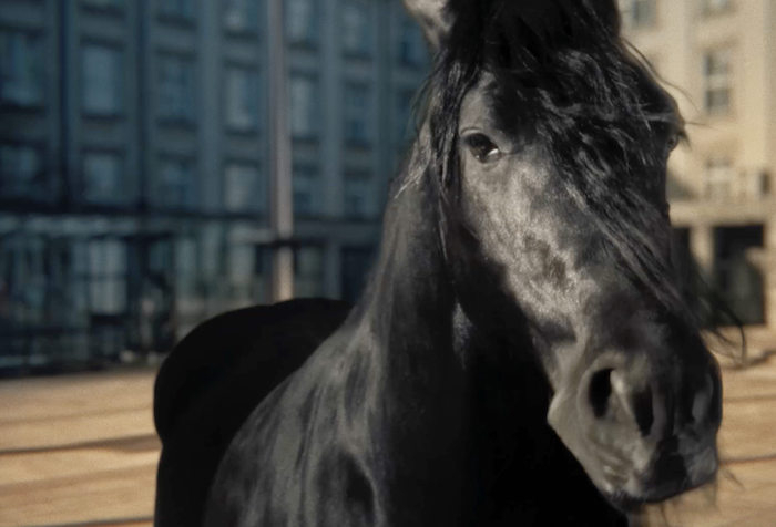 /media/tctbbewr/mustang