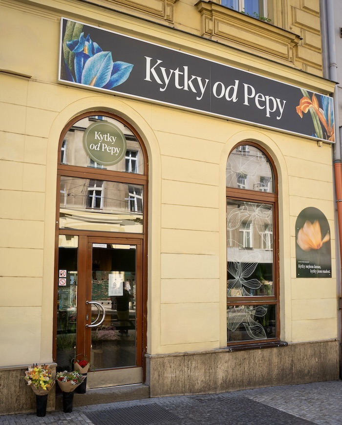 /media/jz3icpcq/kytky-od-pepy-i-p-pavlova-praha