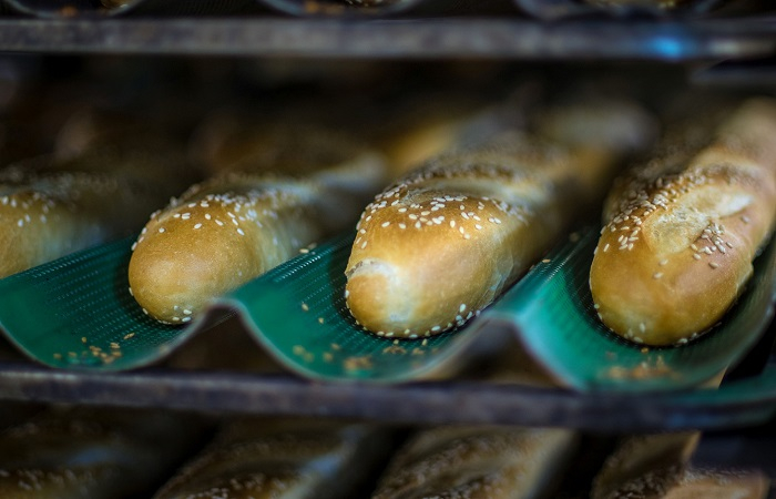 /media/12253/crocodille_bagety