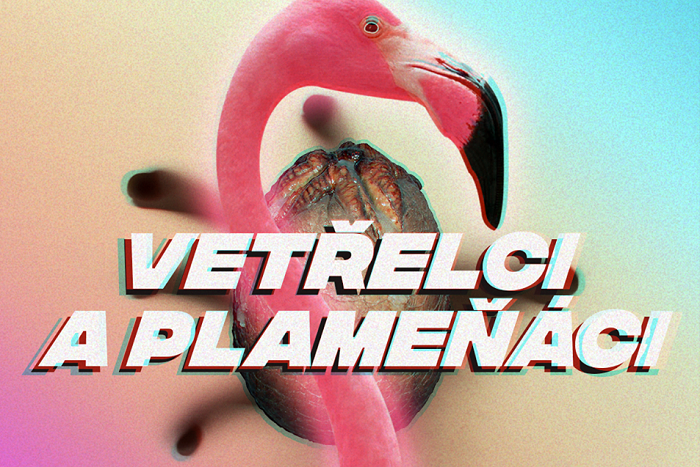 /media/6243/vetřelci-a-plameňáci2