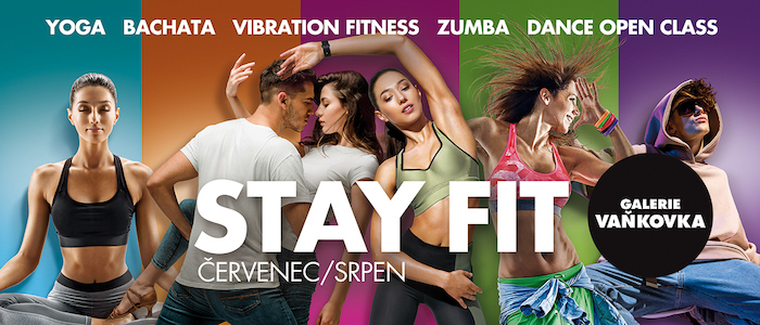 /media/25617/galerie-vaňkovka-brno