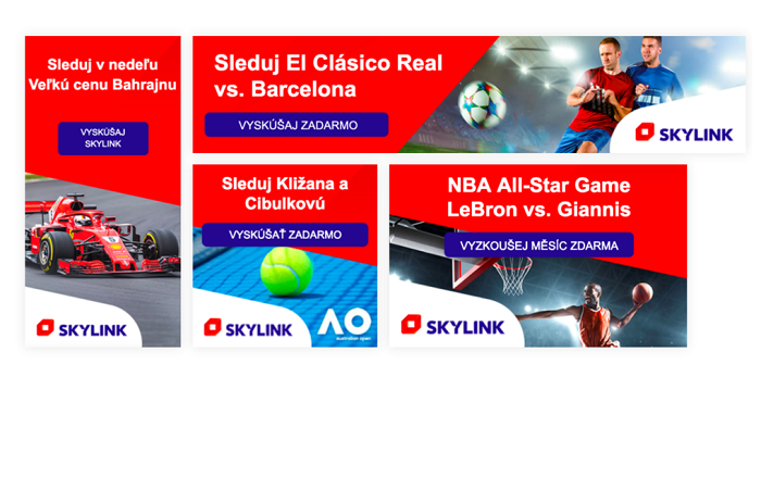 /media/10932/skylink_dynamic-ads