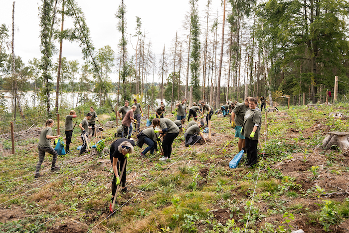 /media/zxcdcode/lidlles