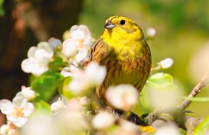 /media/18657/spp-cista_energia