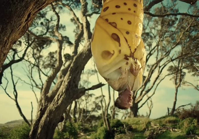 /media/cvwfnfov/hornbach_slider