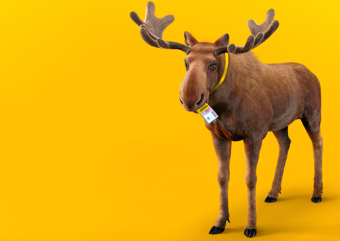 /media/1315/sazka_rentier