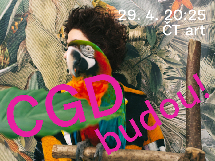 /media/12494/vizual-cgd-budou