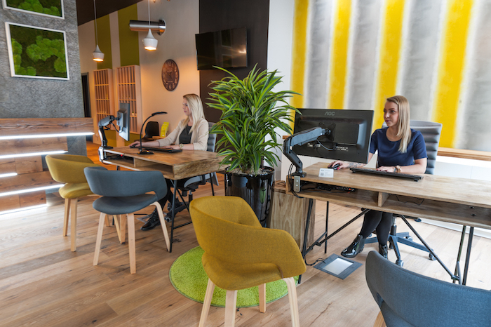 /media/3066/directpojistovna3