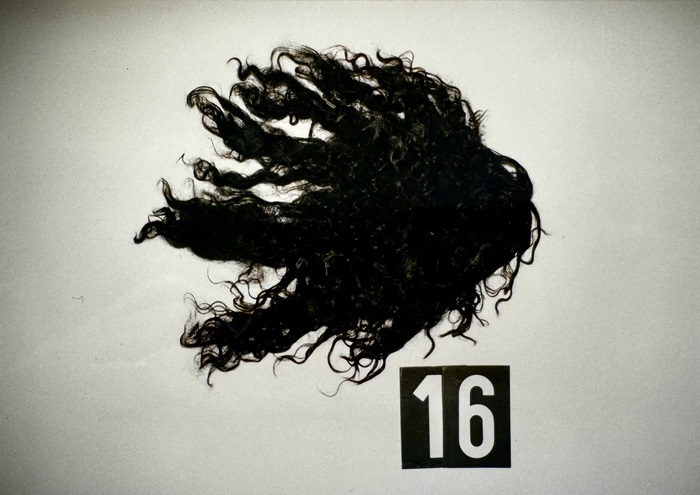 /media/dmrh1gfl/stodolovi_policejni-rekonstrukce_autor-fotografie-policie-c-r