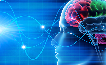 /media/1021/neuromarketing