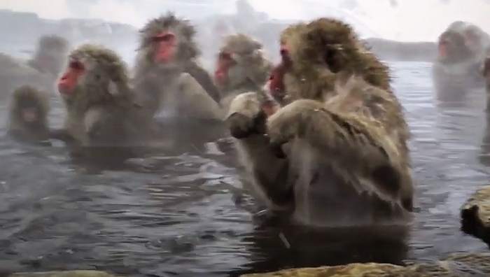 /media/11223/fio-banka