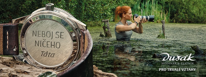 /media/22711/bb_dusak_bazina