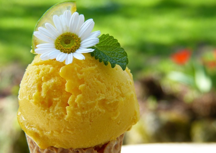 /media/25349/yello_zmrzlina