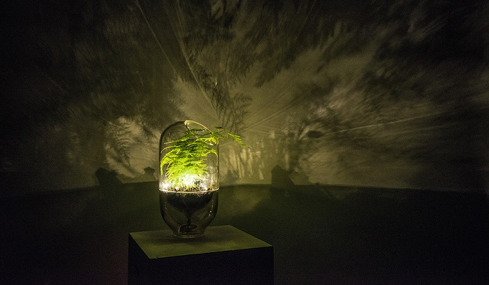 /media/4121/living-light-lamp