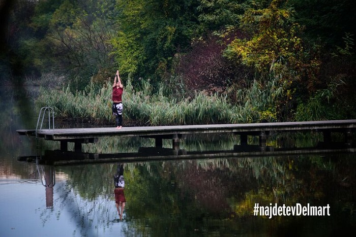 /media/1820/delmart_3