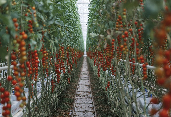 /media/12480/prodeje_ovozel_1