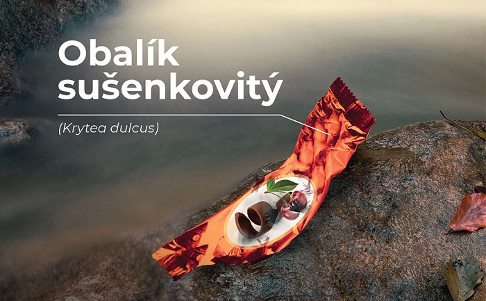 /media/8667/krnap_obalik-sušenkovitý