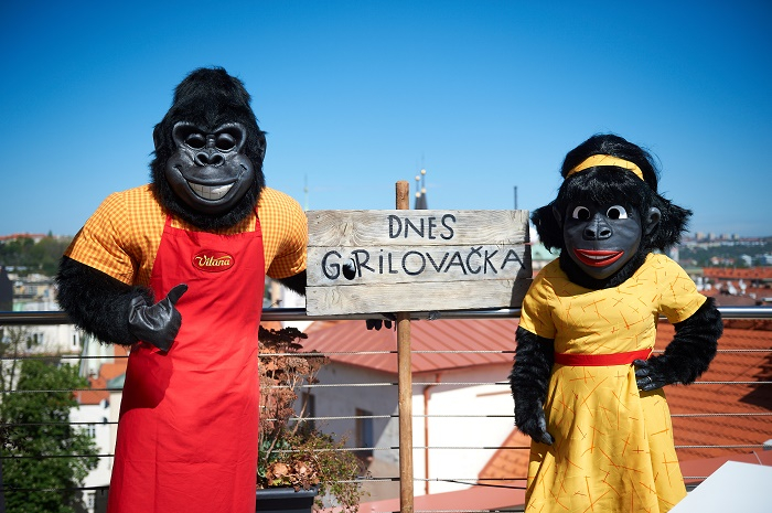 /media/8777/vitana_gorilagorilova