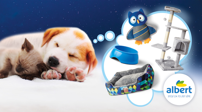 /media/21925/albert_domacimazlicci